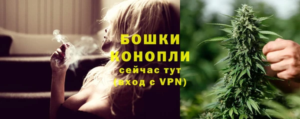 эйфоретик Баксан