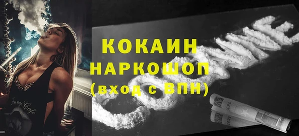 индика Протвино
