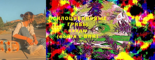 apvp Балахна