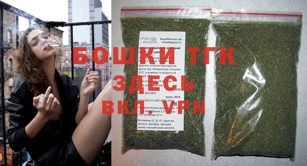 эйфоретик Баксан